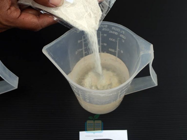 Cara Melarutkan Nutrisi Hidroponik AB Mix