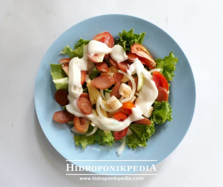 Tutorial Membuat Salad Sederhana