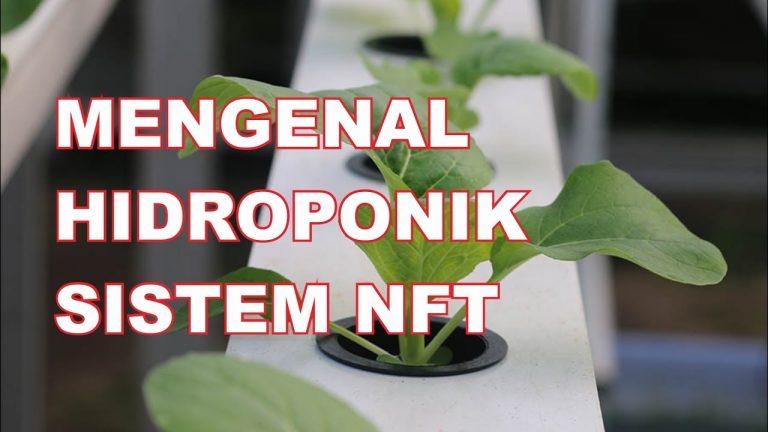 [VIDEO] Apa itu Sistem NFT? Simak Video ini…!