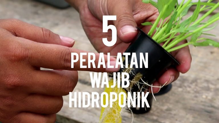 Inilah 5 Peralatan Hidroponik untuk Pemula