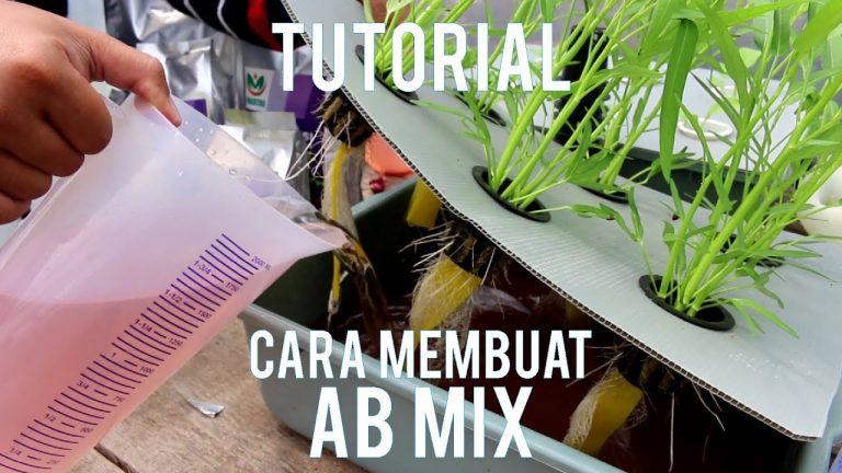 Cara Membuat AB Mix (Nutrisi Hidroponik)