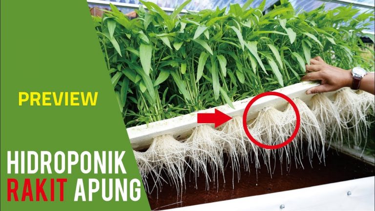 Hidroponik Sistem RAKIT APUNG