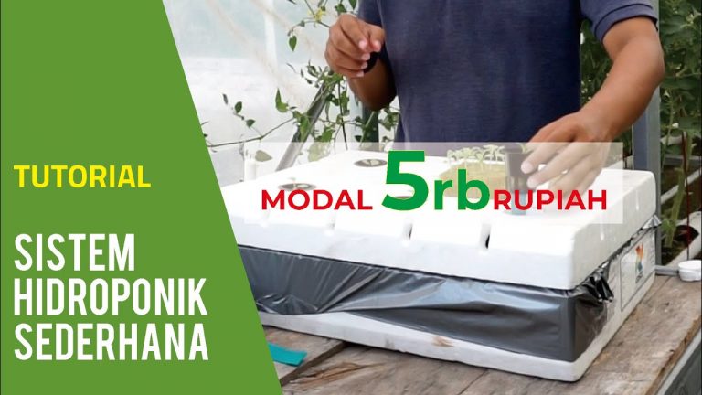 Tutorial Membuat Sistem Hidroponik Sederhana