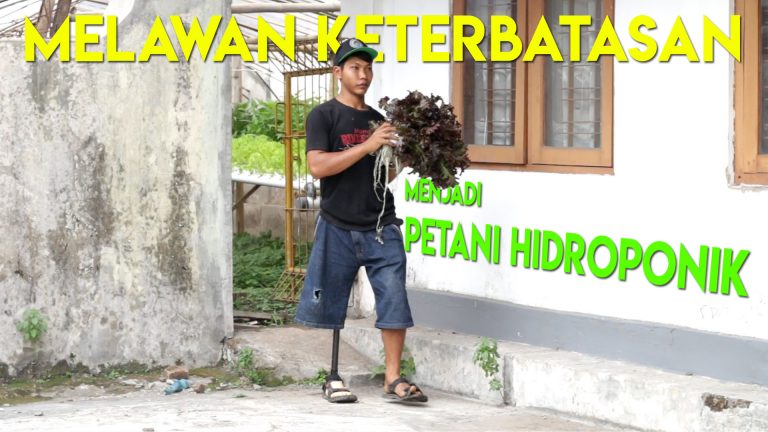 Kisah Inspiratif: Melawan Keterbatasan dengan Hidroponik