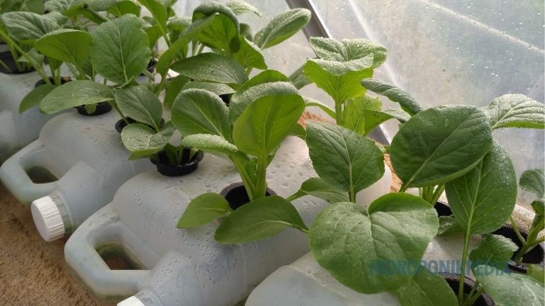 Antara Edukasi dan Produksi: Dua Tujuan yang Sering Tertukar