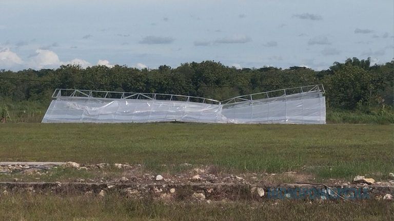 Greenhouse Ambruk: Ketika Niat Menghemat Justru Menghancurkan Proyek