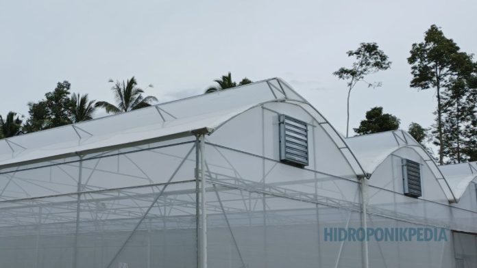greenhouse-hidroponik-produksi Greenhouse sebagai pengendali risiko dalam sistem hidroponik