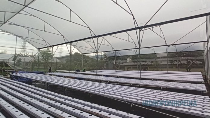 kesalahan-menentukan-skala-sistem-hidroponik Ilustrasi perbedaan skala kecil dan skala besar dalam sistem hidroponik