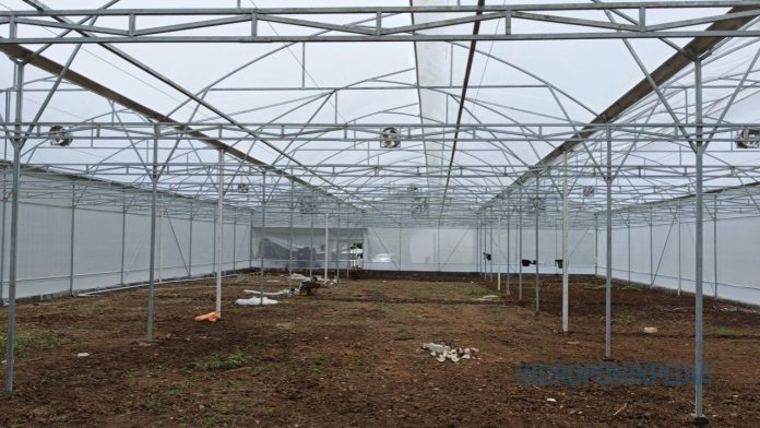 proyek-hidroponik-berhenti-di-tengah-jalan Ilustrasi proyek hidroponik yang terhenti akibat masalah pengelolaan dan tujuan