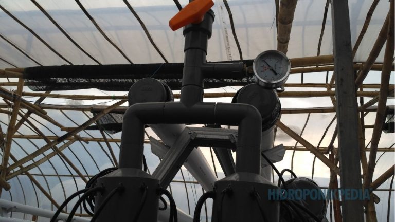 Saat Sistem Hidroponik Terlalu Kompleks Menjadi Sumber Masalah