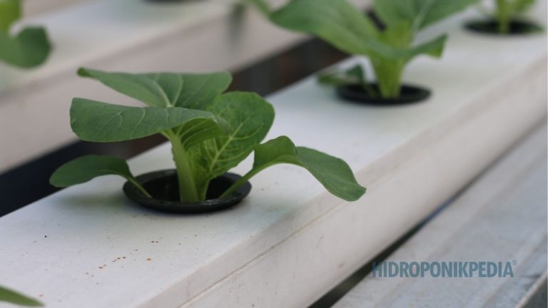 Sistem NFT: Kapan Relevan Digunakan dan Kapan Tidak