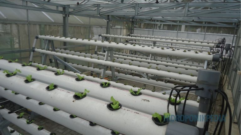 Tujuan Menentukan Sistem: Kesalahan Pertama yang Paling Sering Terjadi