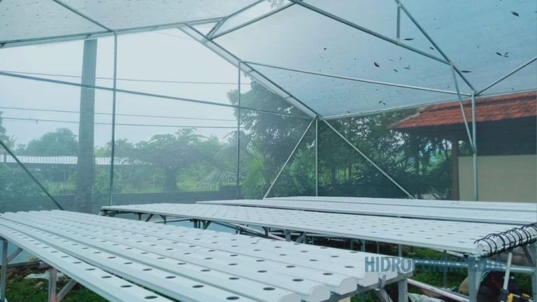 Biaya Tersembunyi dalam Pembangunan Greenhouse