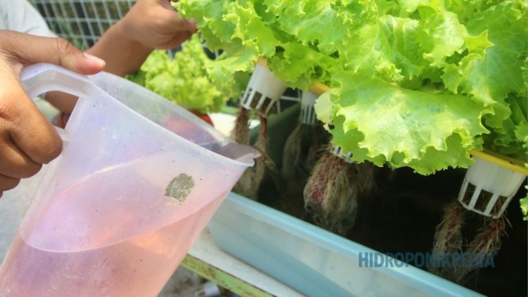 Tanpa Catatan Keputusan, SOP Tidak Bisa Dievaluasi