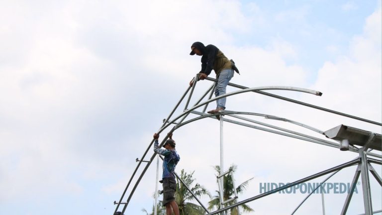 Kenapa Greenhouse Tidak Bisa Diperlakukan Seperti Bangunan Biasa