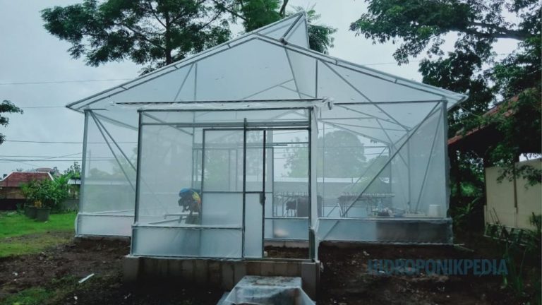 Greenhouse yang Stabil Tidak Selalu yang Paling Mahal