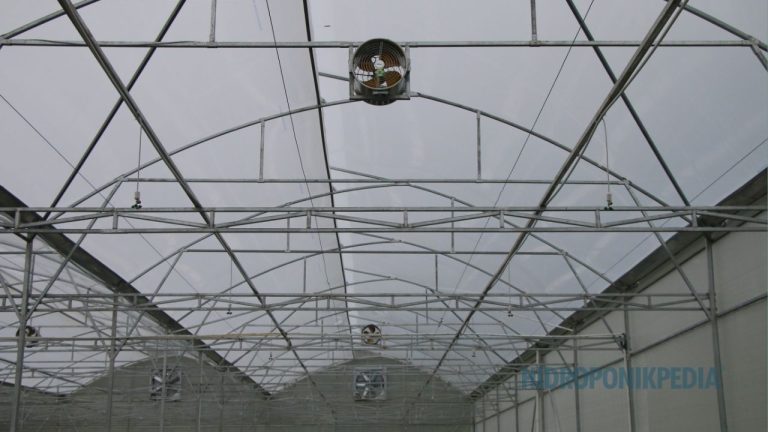 Kapan Proyek Greenhouse Sebaiknya Ditunda, Bukan Dipaksakan