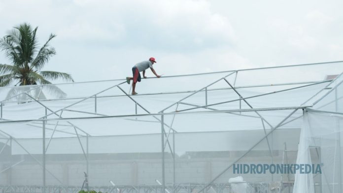 kesalahan-awal-membangun-greenhouse-produksi Ilustrasi kesalahan awal dalam pembangunan greenhouse untuk produksi hidroponik
