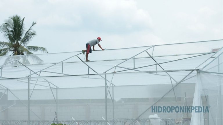 Kesalahan Awal Saat Membangun Greenhouse untuk Produksi Hidroponik