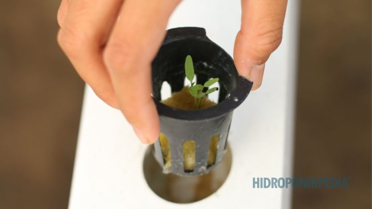 SOP Tanpa Batas Keputusan Akan Selalu Dilanggar