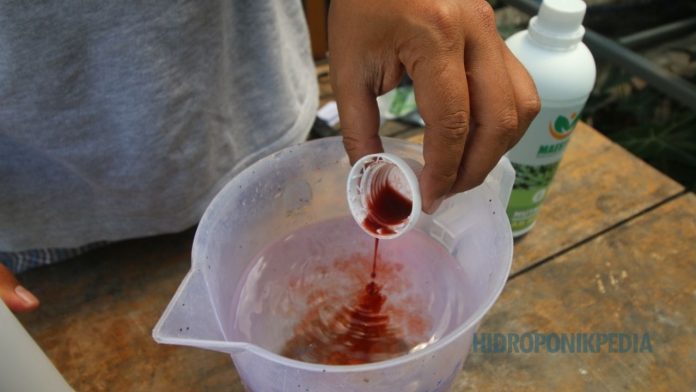 sop-tidak-menghilangkan-kesalahan Ilustrasi transparansi kesalahan dalam penerapan SOP hidroponik