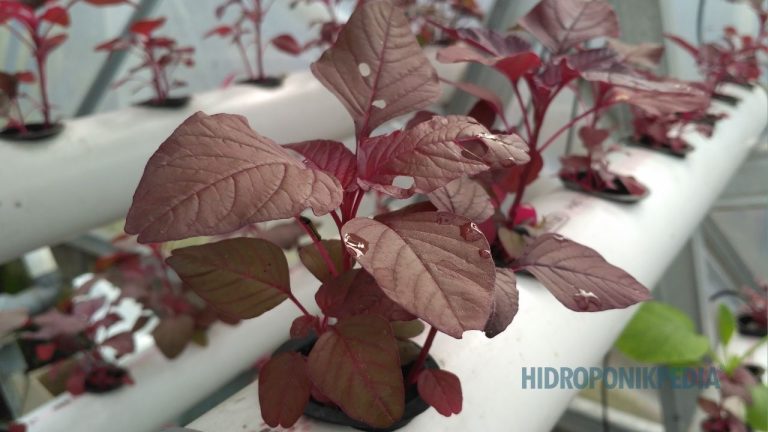 Saat Menambah Teknologi Justru Menurunkan Ketahanan Sistem