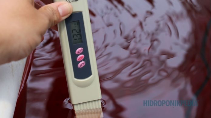 analisis-produktivitas-hidroponik Petani hidroponik sedang memeriksa tanaman dengan ekspresi analitis untuk mengevaluasi penurunan produktivitas